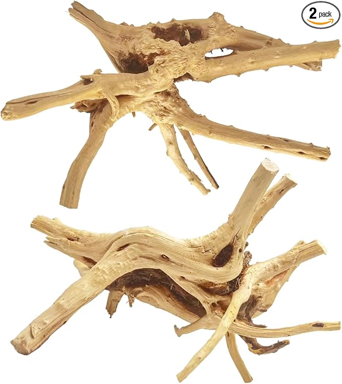 Jorewood Natural Large Spiderwood Driftwood by JOREWOOD