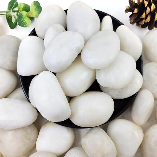 YISZM 5lbs White River Rocks, 2-3 Inch Natural Pebbles by YISZM-ForYourNaturalLife