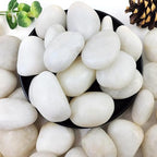 YISZM 10lbs White River Rocks, 2-3 Inch Natural Pebbles by YISZM-ForYourNaturalLife