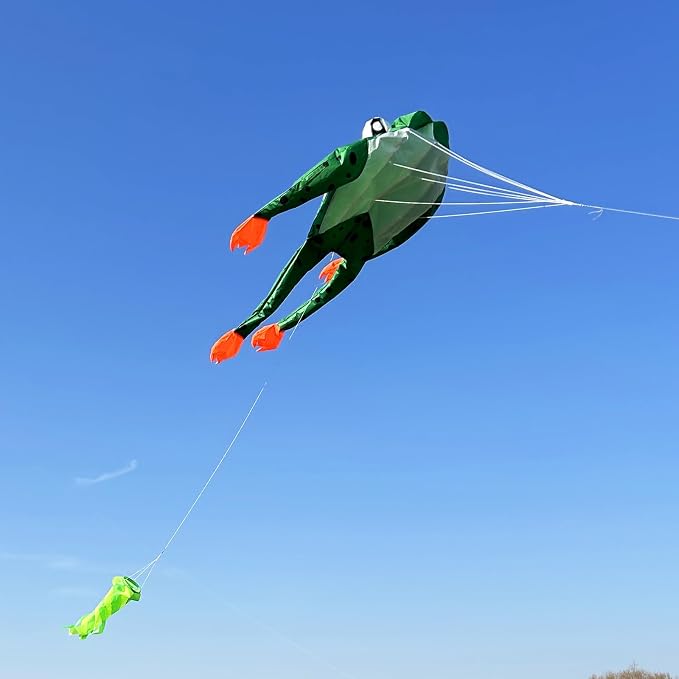 HENGDA KITE 3D Frog Kite for Kids and Adults, Excellent Fabric and Structure - Image 6