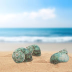 30 PCS+ Small Conch Shells Natural Sea Shells, 1.5"-2" Green Ocean Conch Shells - Image 4