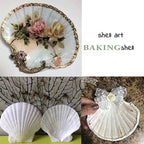 SEAJIAYI 6PCS Scallop Shells for Serving Food, Baking Shells Large Natural - Image 7