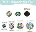 WADORN 4 Sizes Abalone Shell Cabochons - Image 2