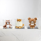 11 Inch Acrylic Display Case for Collectibles, Cube Acrylic Box for - Image 4