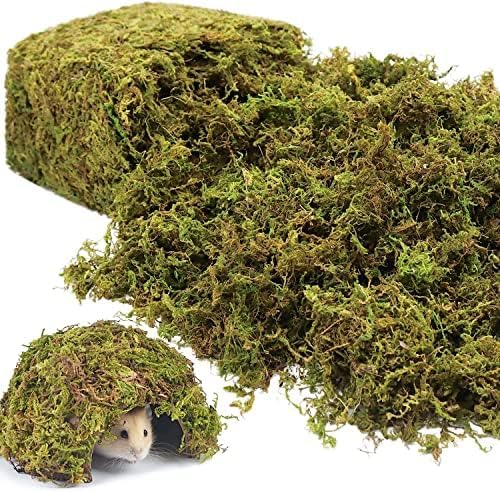 Riare 14OZ Natural Moss Artificial Fake Moss Alternative by Riare