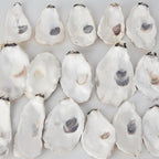 20 PCS Flat Oyster Shells for Crafts 3"-5" Natural Oyster Shells Bulk, for Home - Image 6