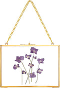 REDHUGO Hanging Pressed Flower Frame Handmade, Double Glass Picture Frame by REDHUGO