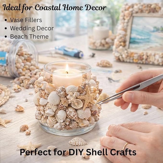 1300 PCS Small Seashells for Crafts, Tiny Mixed Sea Shells - Image 3