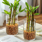0.88 LB Brown Decorative Succulent Cactus Gravel, Terrarium Small Rocks | - Image 7