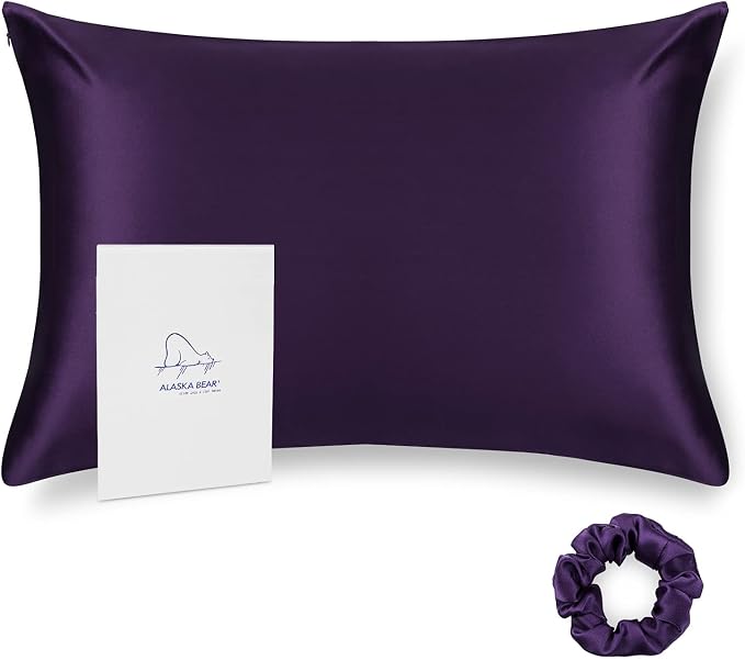 ALASKA BEAR Natural Silk Pillowcase, 100 Percent Mulberry Silk, Queen Size by ALASKABEAR