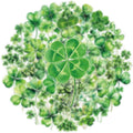 50Pcs Lucky Four Leaf Clover Stickers Transparent Aesthetic Green Leaf Stickers by Unknown