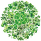 50Pcs Lucky Four Leaf Clover Stickers Transparent Aesthetic Green Leaf Stickers by Unknown