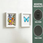 Pin Display Case, Enamel Pin Collection Display - Image 4