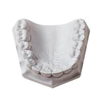 3 LB - White Dental Lab Plaster - Image 8