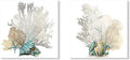 JAPO ART White Coral Wall Art Coastal Wall Decor Beach Bathroom Decor Sea Shell by JAPOART