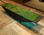 Mosser Lee ML0480 Natural Green Sheet Moss – 520 sq. in. – Organic Decorative - Image 9