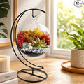 Creations by Nathalie DIY 5" DIY Globe Terrarium Kit by CreationsbyNathalie