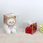 Clear Acrylic Box with Mirrored Back and Base, Removable Display Case with Lid - Image 4