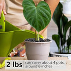 YISZM 2LB Succulent and Cactus Black Pebbles, 3/8 Inch Natural Decorative - Image 5