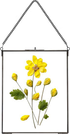 REDHUGO Hanging Pressed Flower Frames, Double Glass Floating Picture Frame by REDHUGO