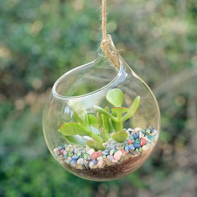 0.88 LB Colored Pea Gravel, Succulent Cactus Topper Dressing Pebbles, 3-5mm | - Image 3