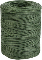 TIMESETL 656 Feet Floral Bind Wire Rustic Vine Wrapping Wire, Paper Covered by TIMESETL