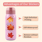 Fall Maple Leaf Stickers, Waterproof PET Vinyl Decals - Image 5