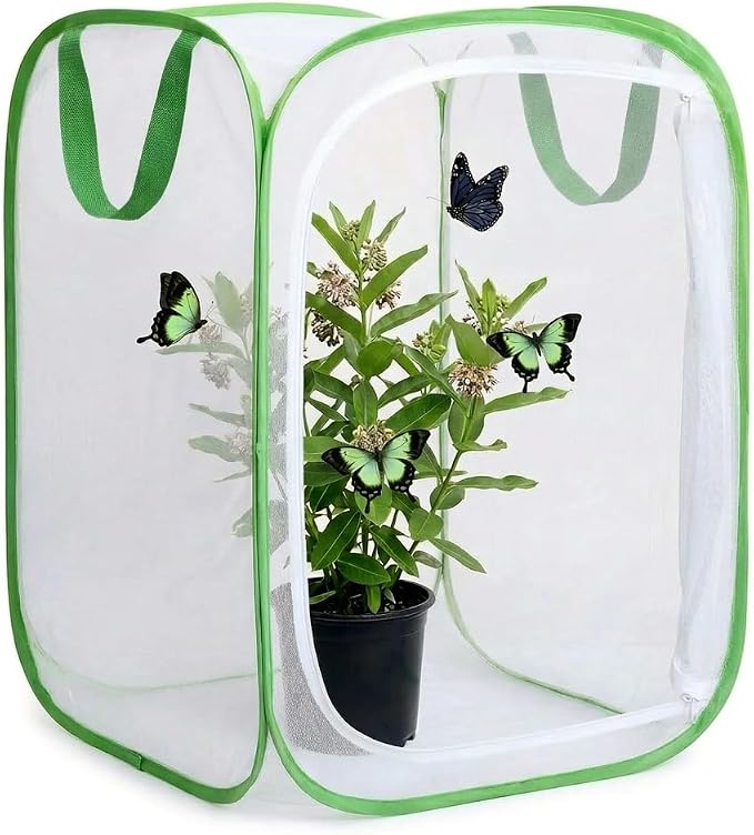 Insect & Butterfly Habitat Cage, Portable Pop-Up Terrarium by Unknown
