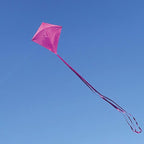 In the Breeze 3295 - Image 2