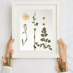 Dried Flowers for Resin | Vacuum Packed DIY Pressed Flowers for Epoxy, Nail - Image 6