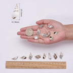 SUNNYCLUE 1 Box 16Pcs Oval Ocean Beach Spiral Seashells Craft Charms Connectors - Image 6