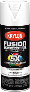 Krylon Fusion All-In-One, 12 oz by Krylon%C2%AE