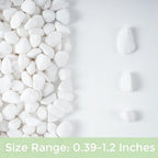 SIDONG 10 LB White River Rocks, 0.4-1.2 Inches Matte Pebbles - Image 9
