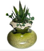 5 Pounds Natural Decorative Real Sand - Image 4