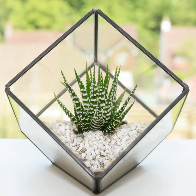 1.1 LB White Succulent Cactus Soil Cover Gravels, Decorative Small Rock | - Image 3
