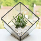 1.1 LB White Succulent Cactus Soil Cover Gravels, Decorative Small Rock | - Image 3