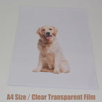 10-Pack A4 Colored PVC Flexible Plastic Sheets, 0.3mm Clear Transparent Film - Image 4