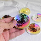 Real Butterfly Specimens, Resin Insect Specimens, Educational Bugs Specimen Set - Image 4