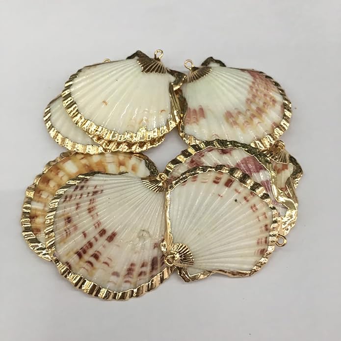 20pcs Natural Shell Pendants Charms Necklace Trendy Pendant - Image 4