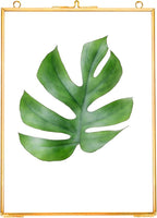REDHUGO Hanging Pressed Flower Frames, Double Glass Floating Picture Frame - Image 9