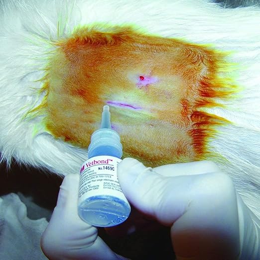 3M Vetbond Tissue Adhesive 0.1 oz – Fast-Acting Veterinary Wound Glue - Image 7
