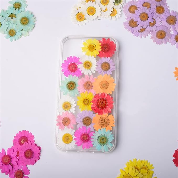 50pcs Natural Dried Daisy Flower, Vacuum Packaging, Pressed Flower - Image 5