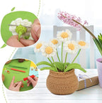 kgxulr Crochet Kit for Beginners, Little Daisy Crochet Kit Beginner Crochet - Image 5