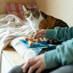 SmartGames Cats & Boxes Logic Puzzle Game - Image 6