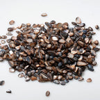 QICQDRAM Crushed Shells for Crafts About 1LB Small Natural Crushed Shells Bulk - Image 2