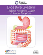 NewPath Digestive System 3-D Paper Model Making Kit - Image 2