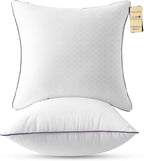 JOLLYVOGUE Euro Size Pillows Set of 2, Luxury Fluffy Hotel Quality by JOLLYVOGUE
