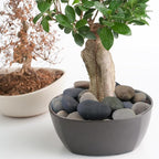 YISZM 40lbs Natural River Rocks, 1-2" Premium Pebbles - Image 6