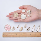 SUNNYCLUE 1 Box 20pcs 10 Styles Natural White Cowrie Seashells Charm Conch - Image 3