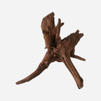 LYPHARD AQUARIUMS Natural Driftwood - Image 3